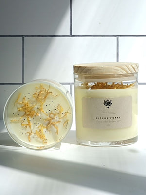 
            
                Load image into Gallery viewer, citrus poppy soy candle
            
        